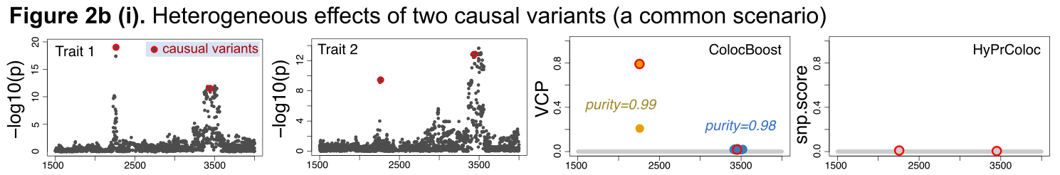 Heterogeneous effects of two causal variants across traits.