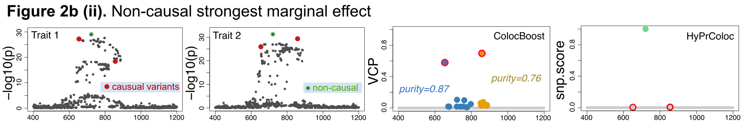 A non-causal variant has the strongest marginal association.