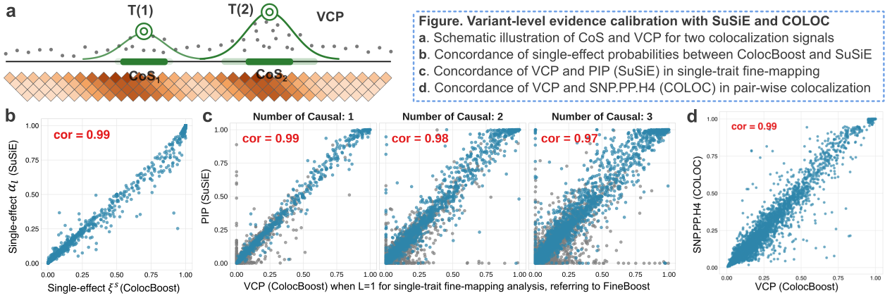 Illustration of variant-level analogues in ColocBoost.