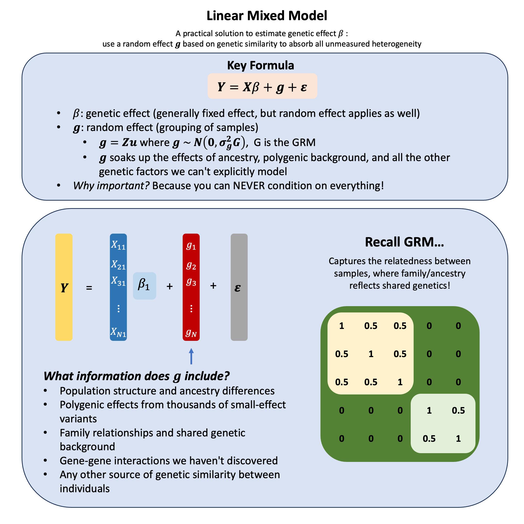 Linear Mixed Model Statistical Backgrounds For Genetics Trainees Linear Mixed Model Statistical Backgrounds For Genetics Trainees